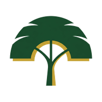 Queen City Tree Trimming